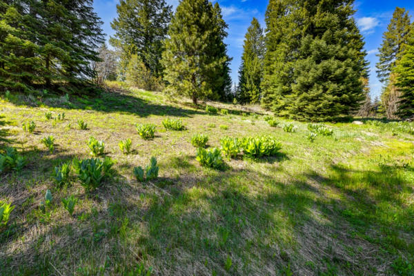 484 WHITEWATER DR, DONNELLY, ID 83615, photo 2 of 20