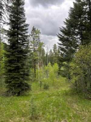 LOT #2 KNIGHTS ROAD, MCCALL, ID 83638, photo 4 of 6