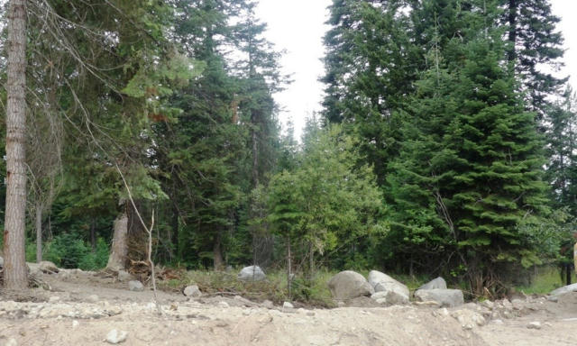 LOT 1 CLEMENTS STREET, MCCALL, ID 83638, photo 3 of 10