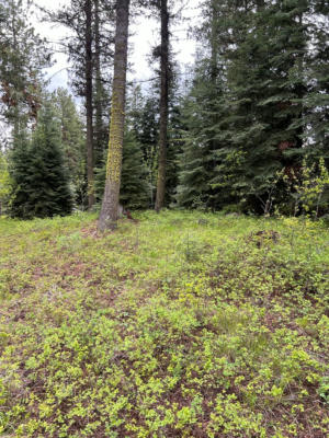 LOT #2 KNIGHTS ROAD, MCCALL, ID 83638, photo 2 of 6