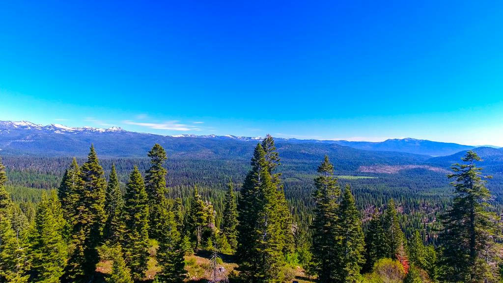 TBD1 PADDY FLAT ROAD, MCCALL, ID 83638, photo 1 of 27