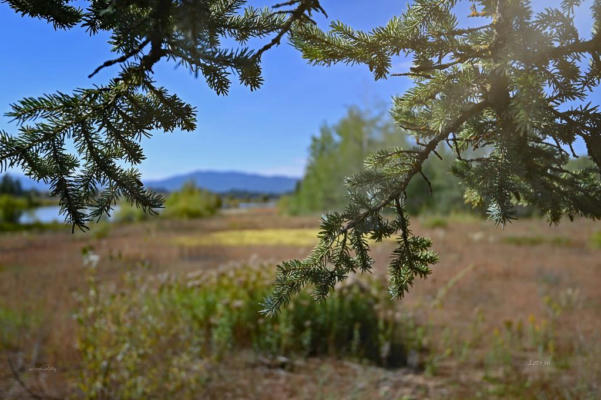 289 RAWHIDE LOOP # 31, MCCALL, ID 83638, photo 4 of 16