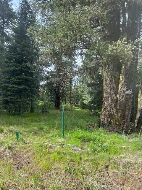 18 ANDY LN, DONNELLY, ID 83615, photo 1 of 8