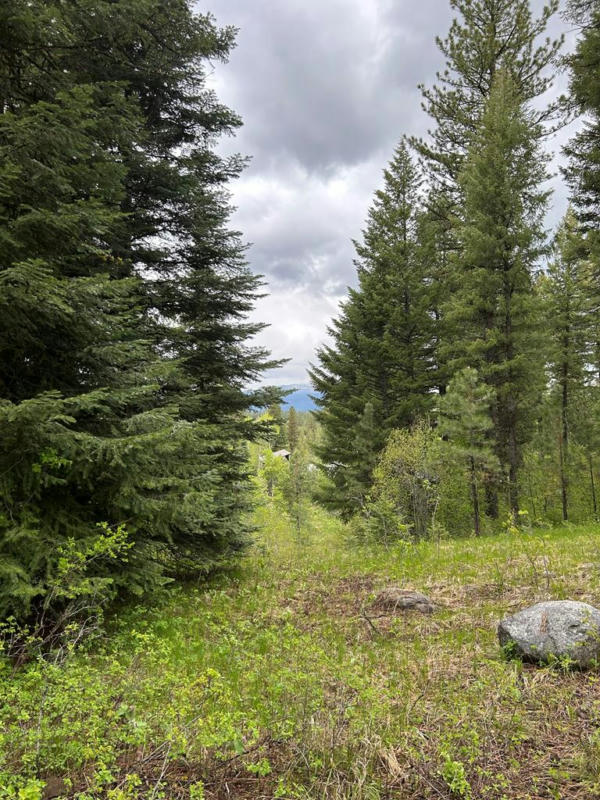 LOT #2 KNIGHTS ROAD, MCCALL, ID 83638, photo 1 of 6